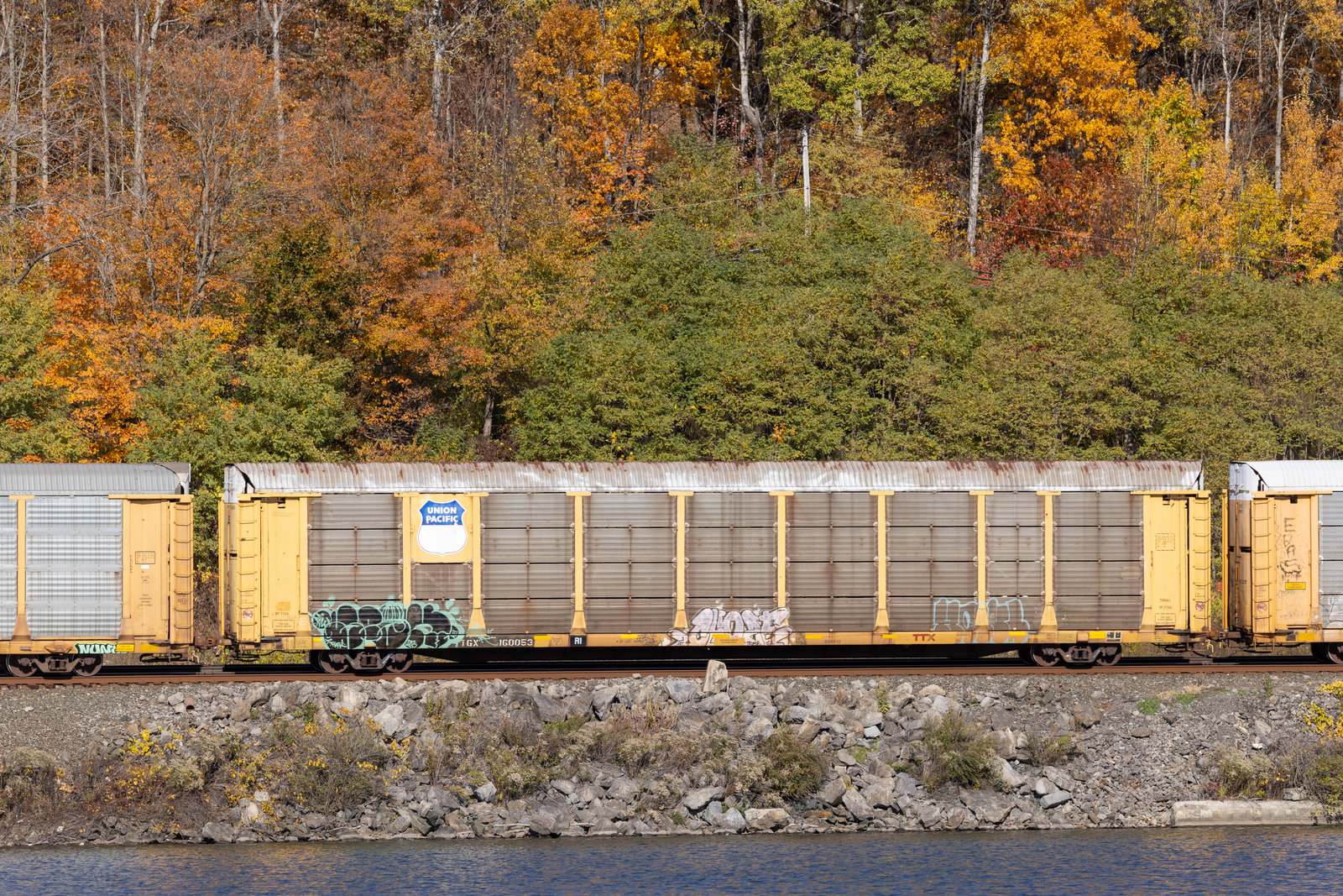 TTGX 160053