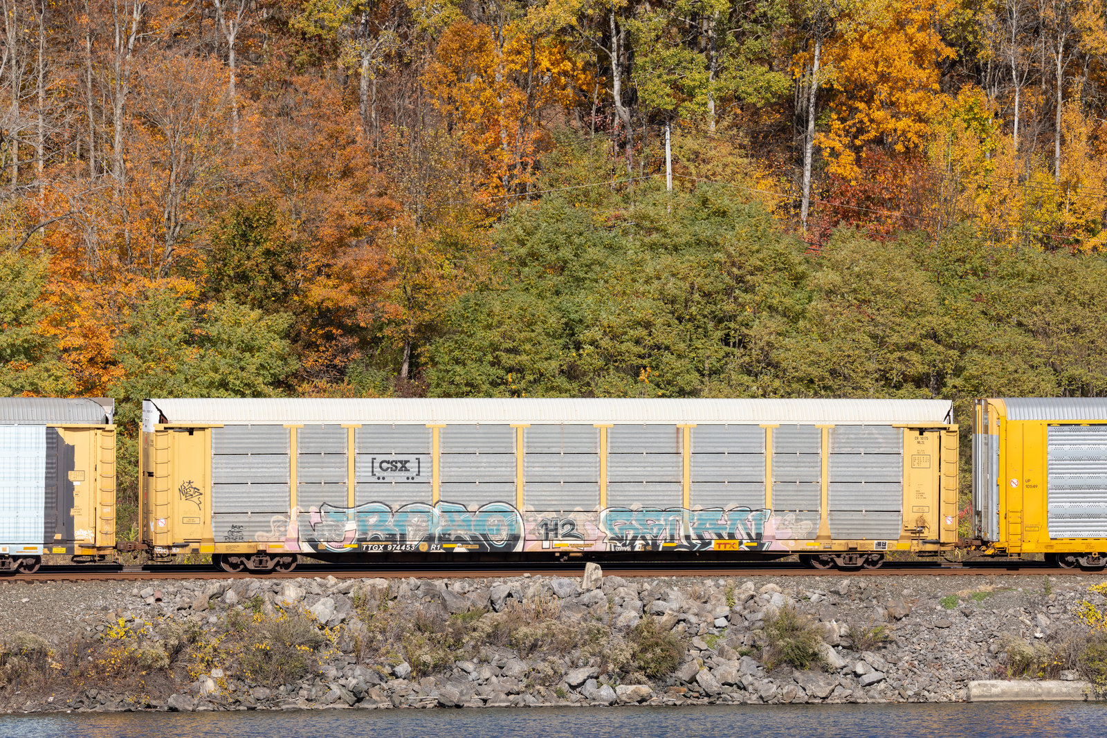 TTGX 974453