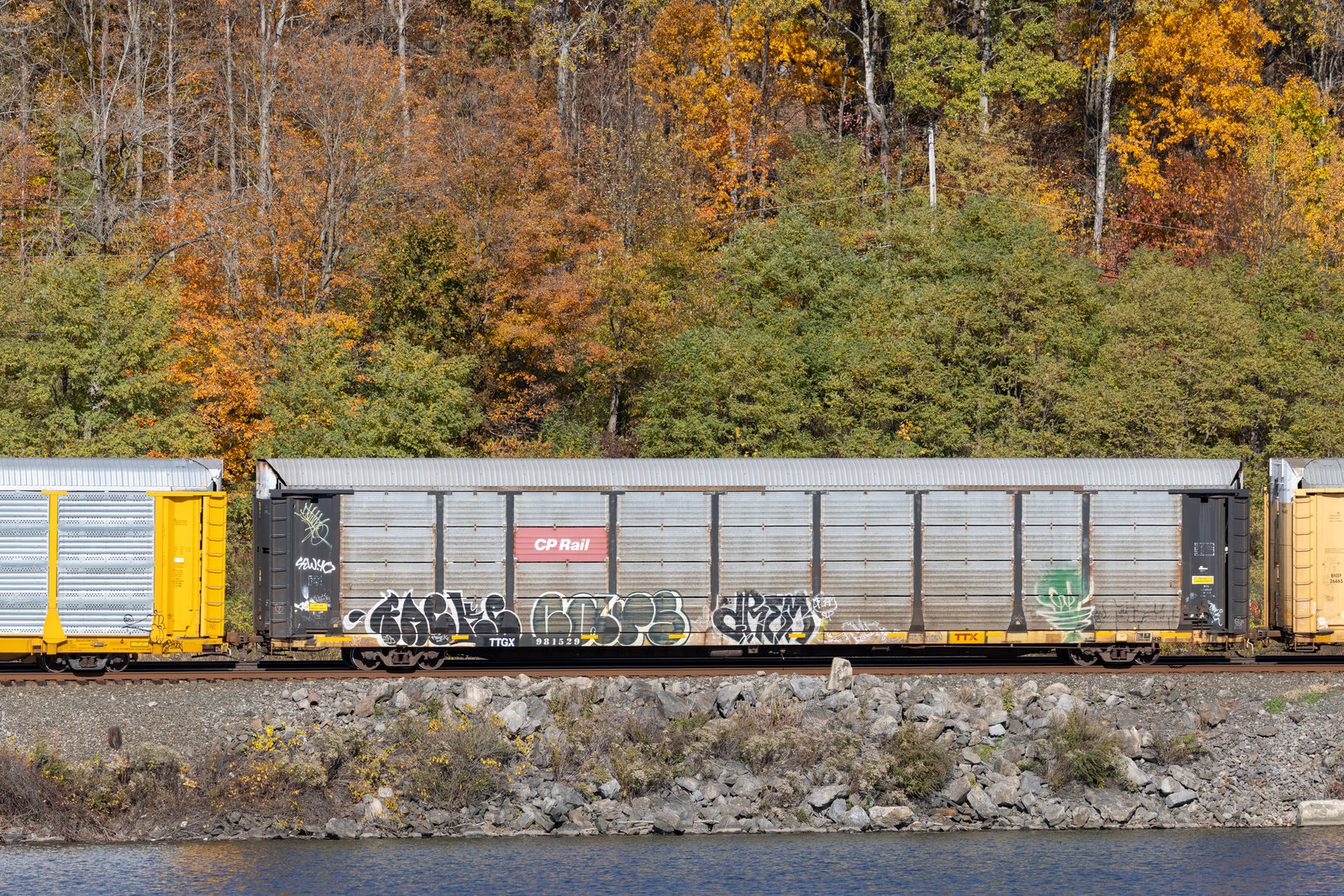 TTGX 981529