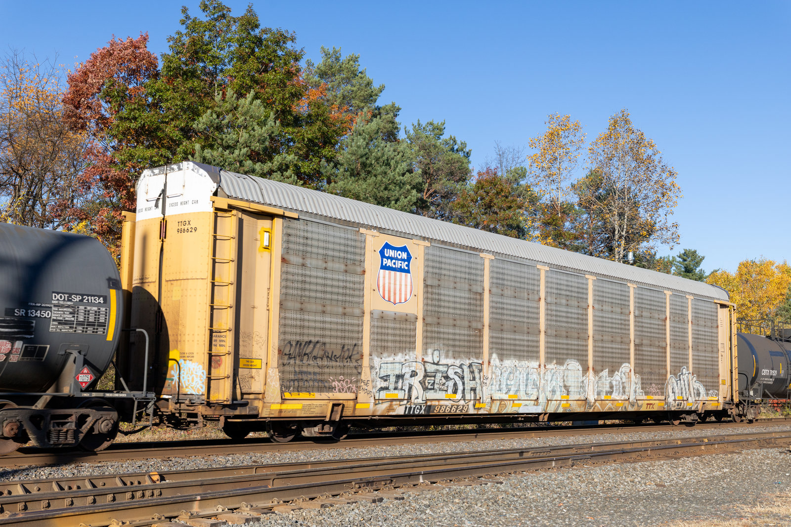 TTGX 986629