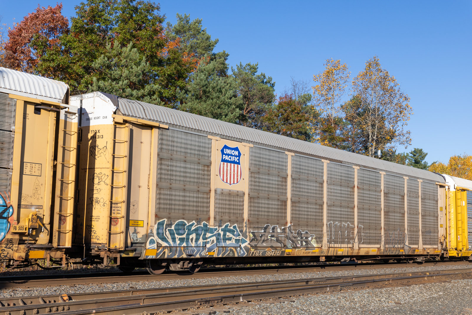 TTGX 994313