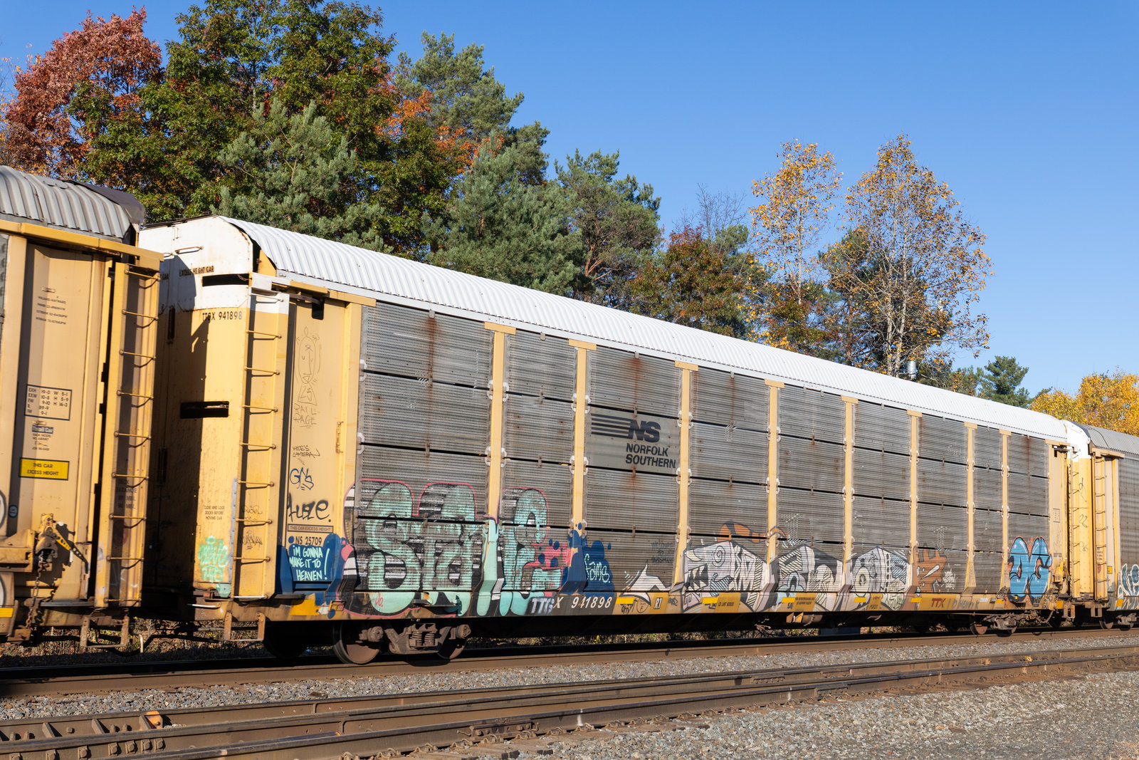 TTGX 941898