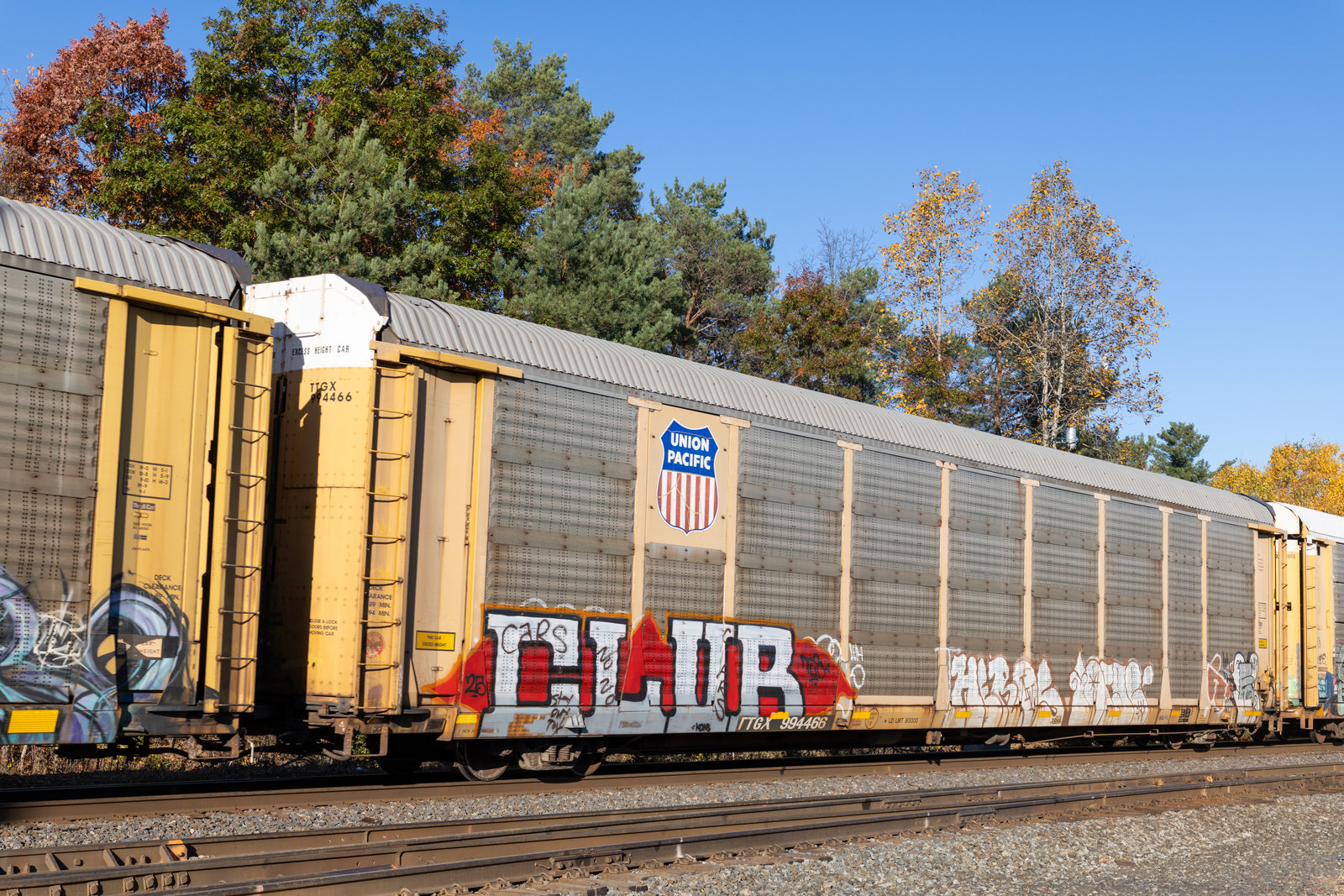TTGX 994466