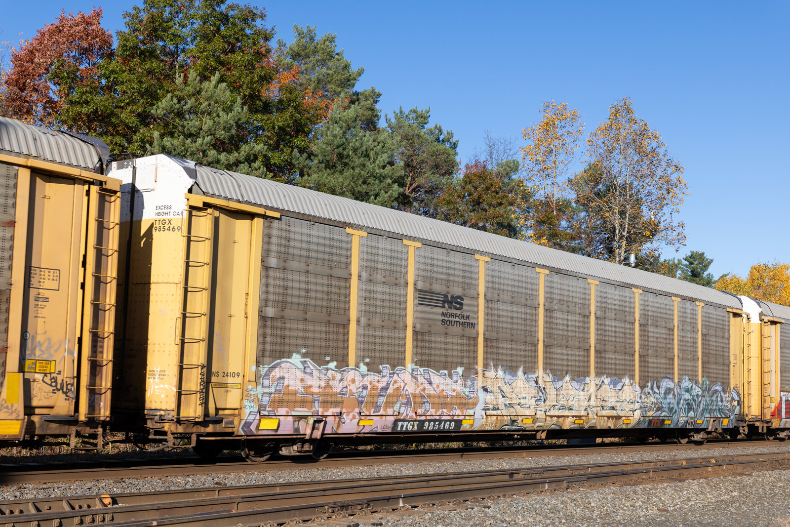 TTGX 985469