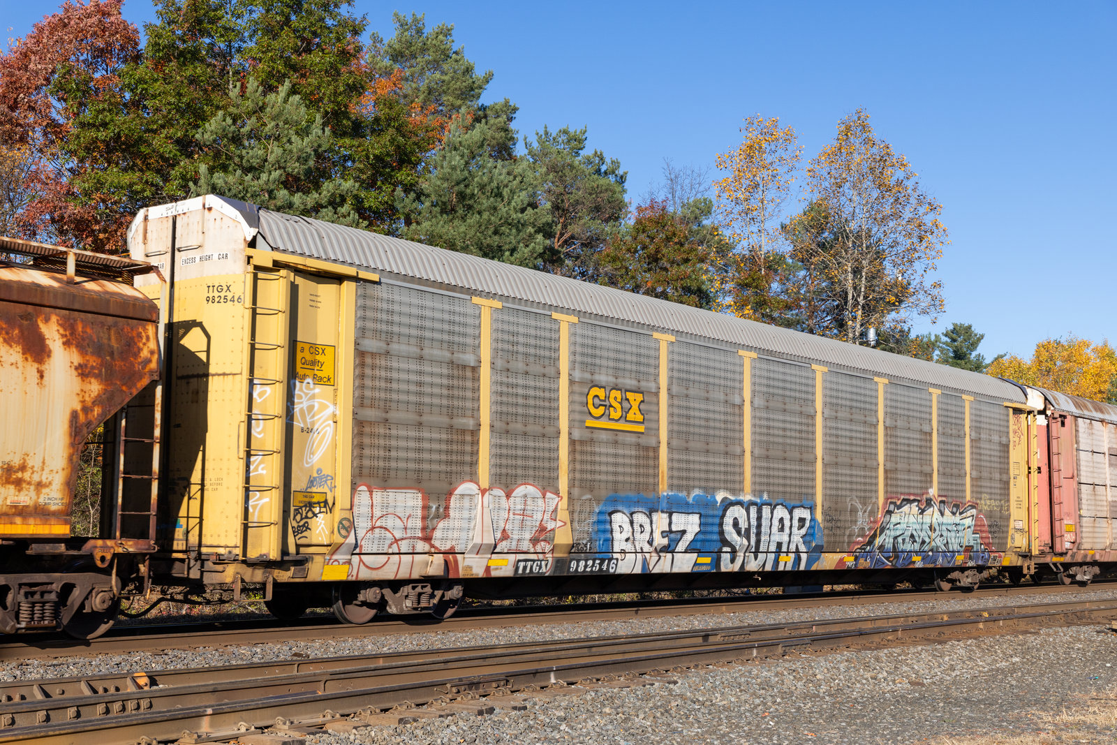 TTGX 982546