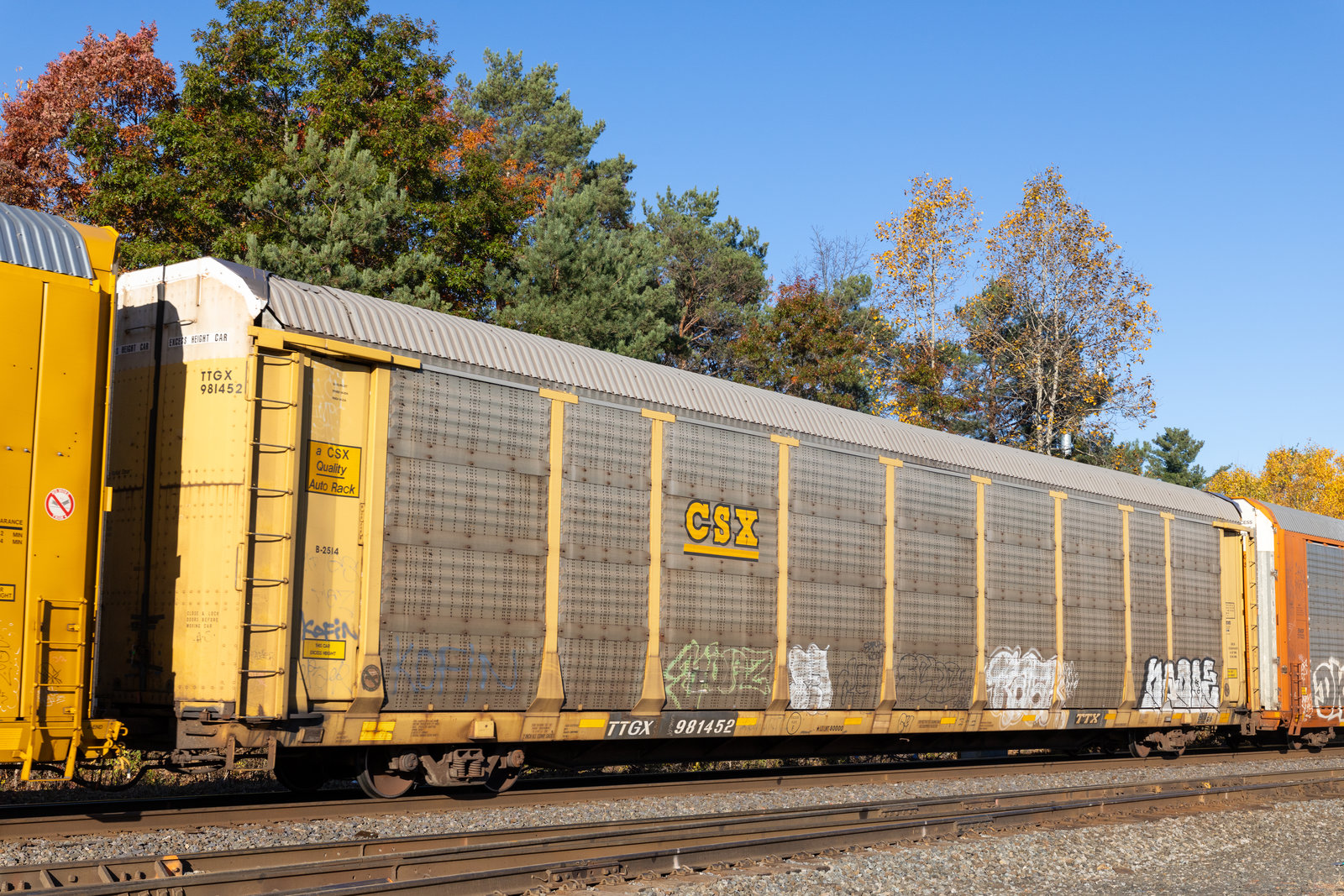 TTGX 981452