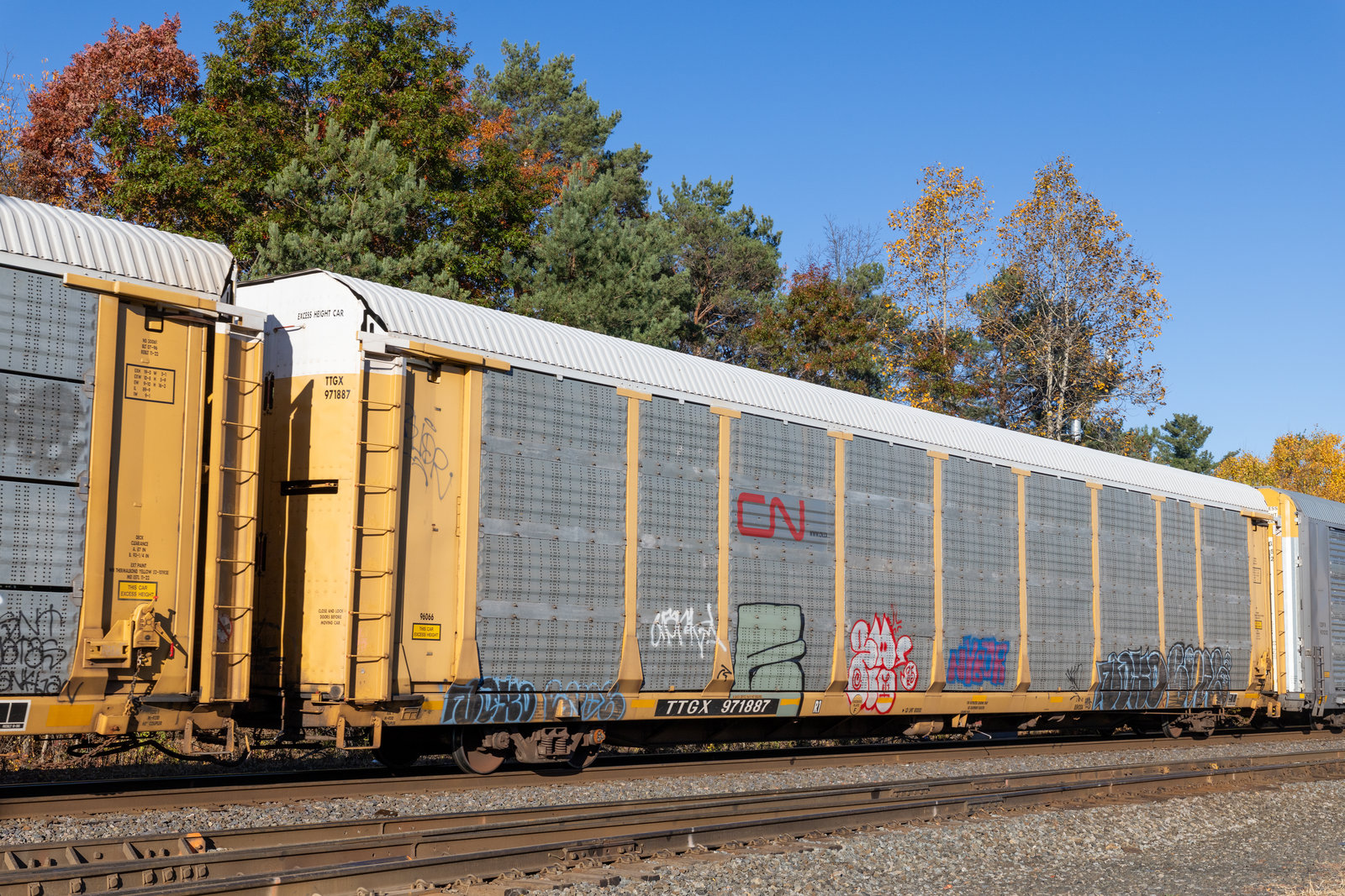 TTGX 971887