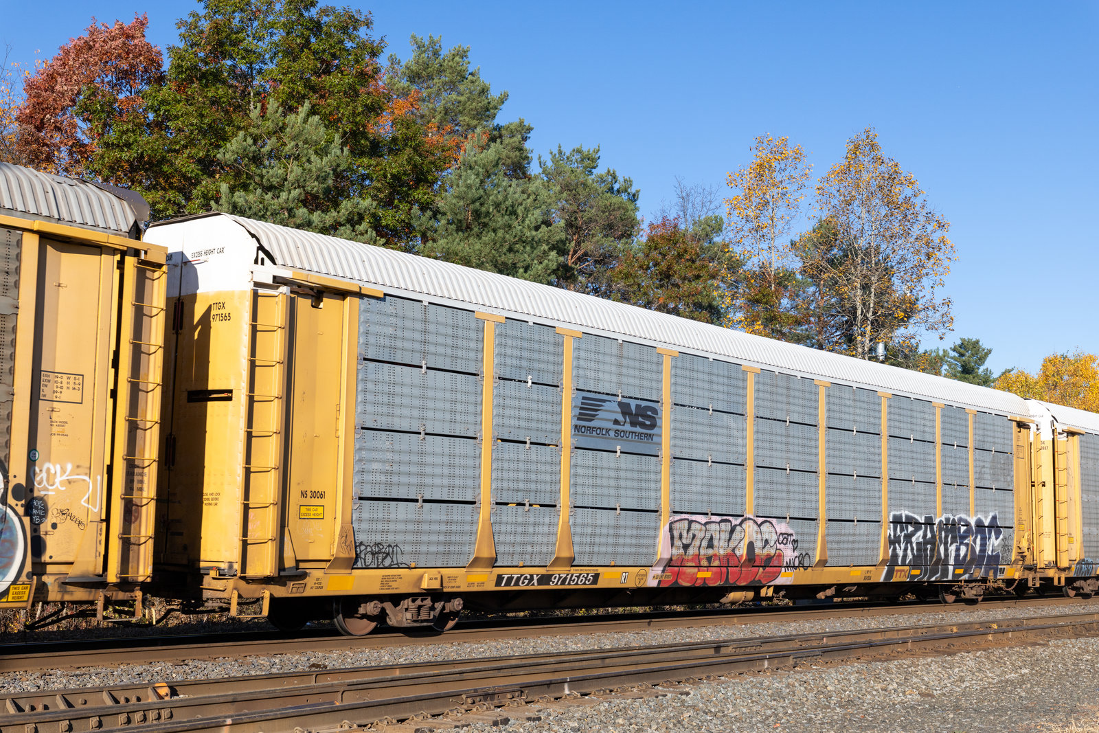 TTGX 971565