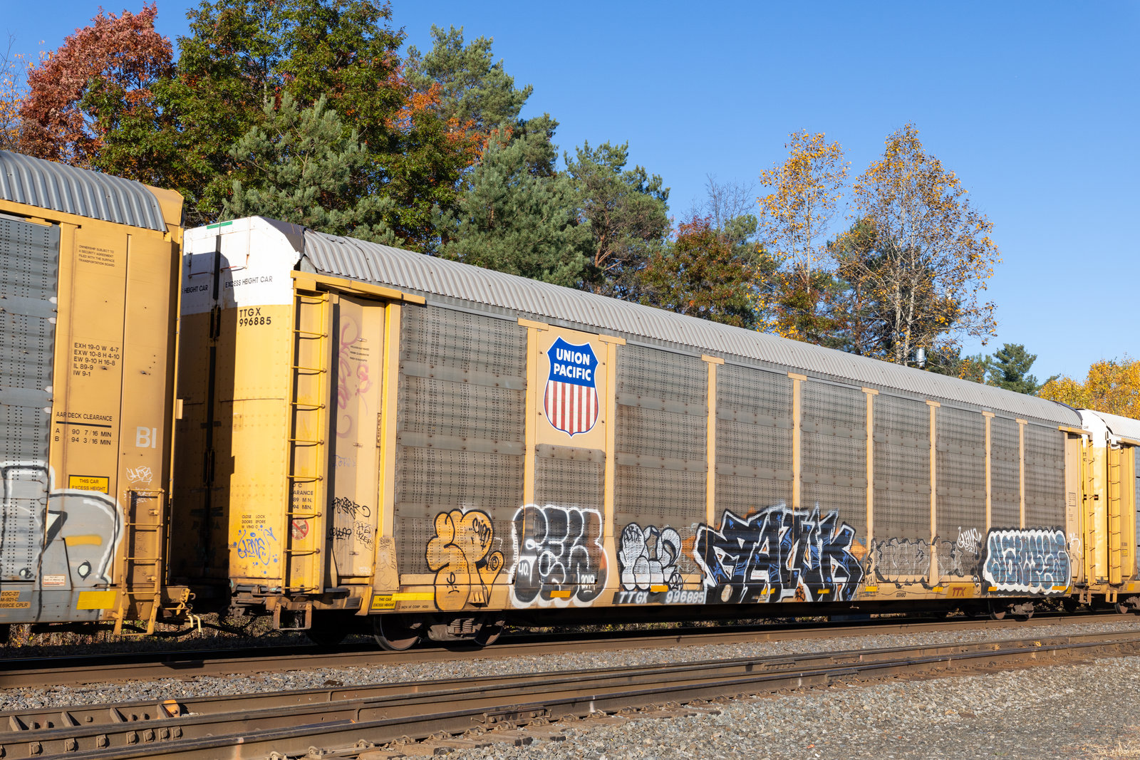 TTGX 996885