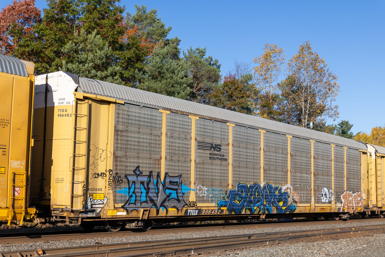 TTGX 986452