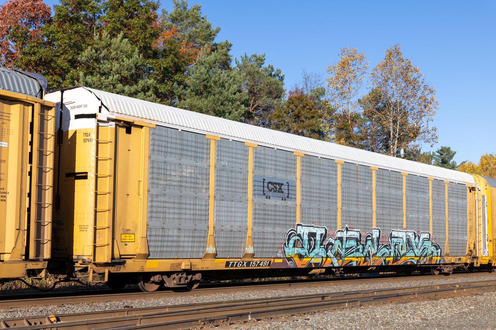 TTGX 157491