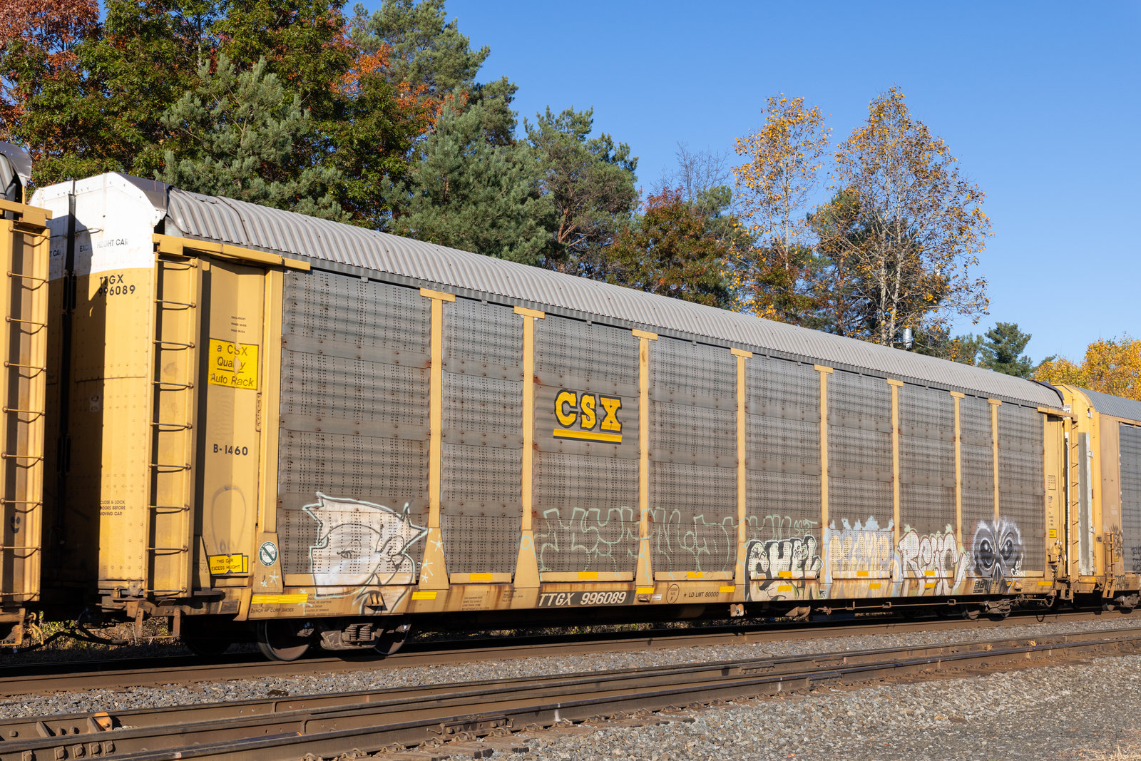 TTGX 996089