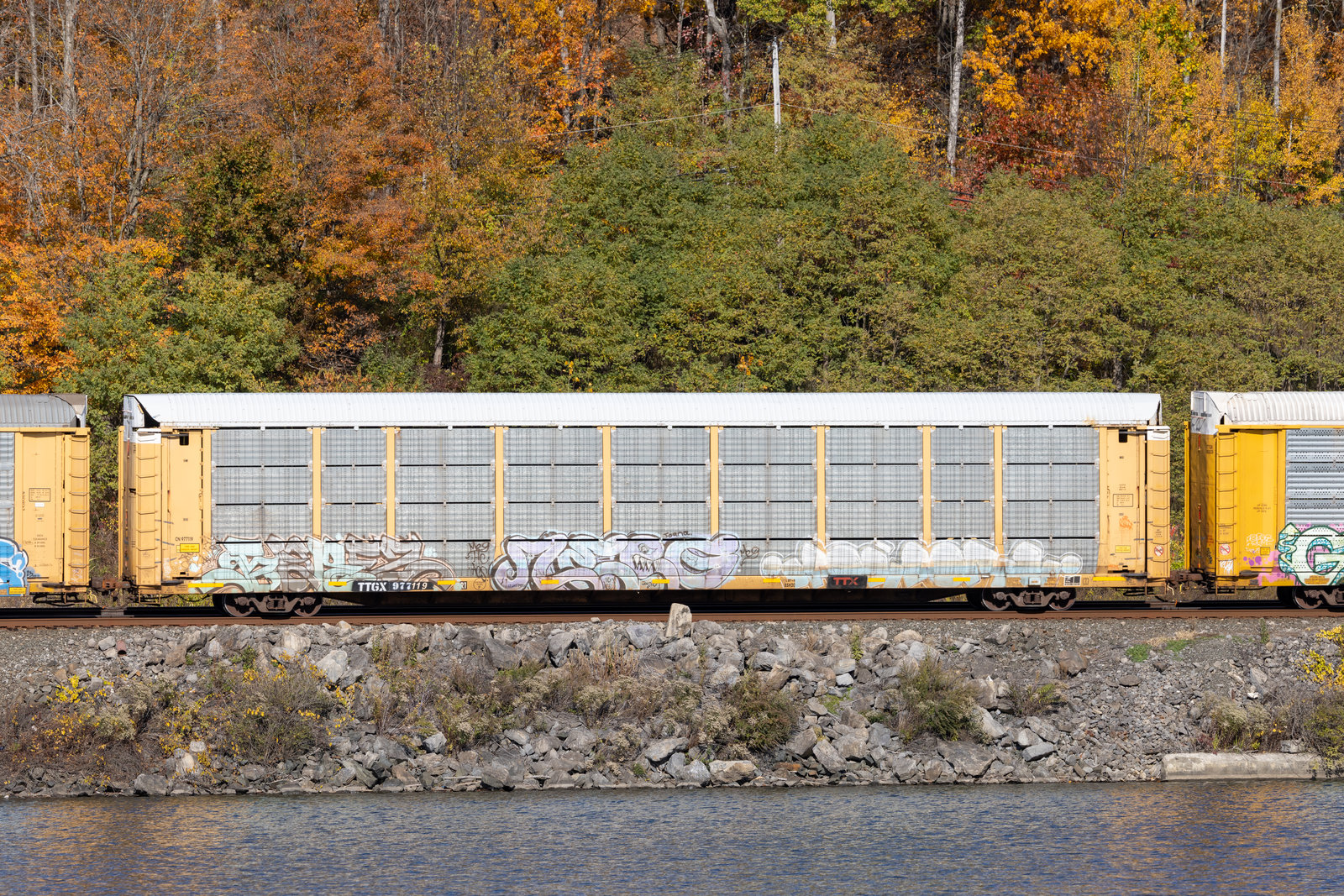 TTGX 977119