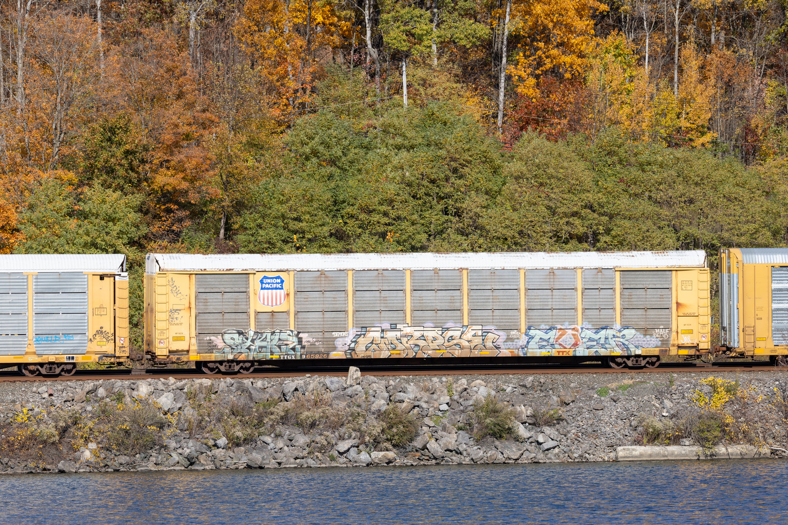 TTGX 965826