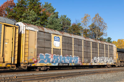 TTGX 964505