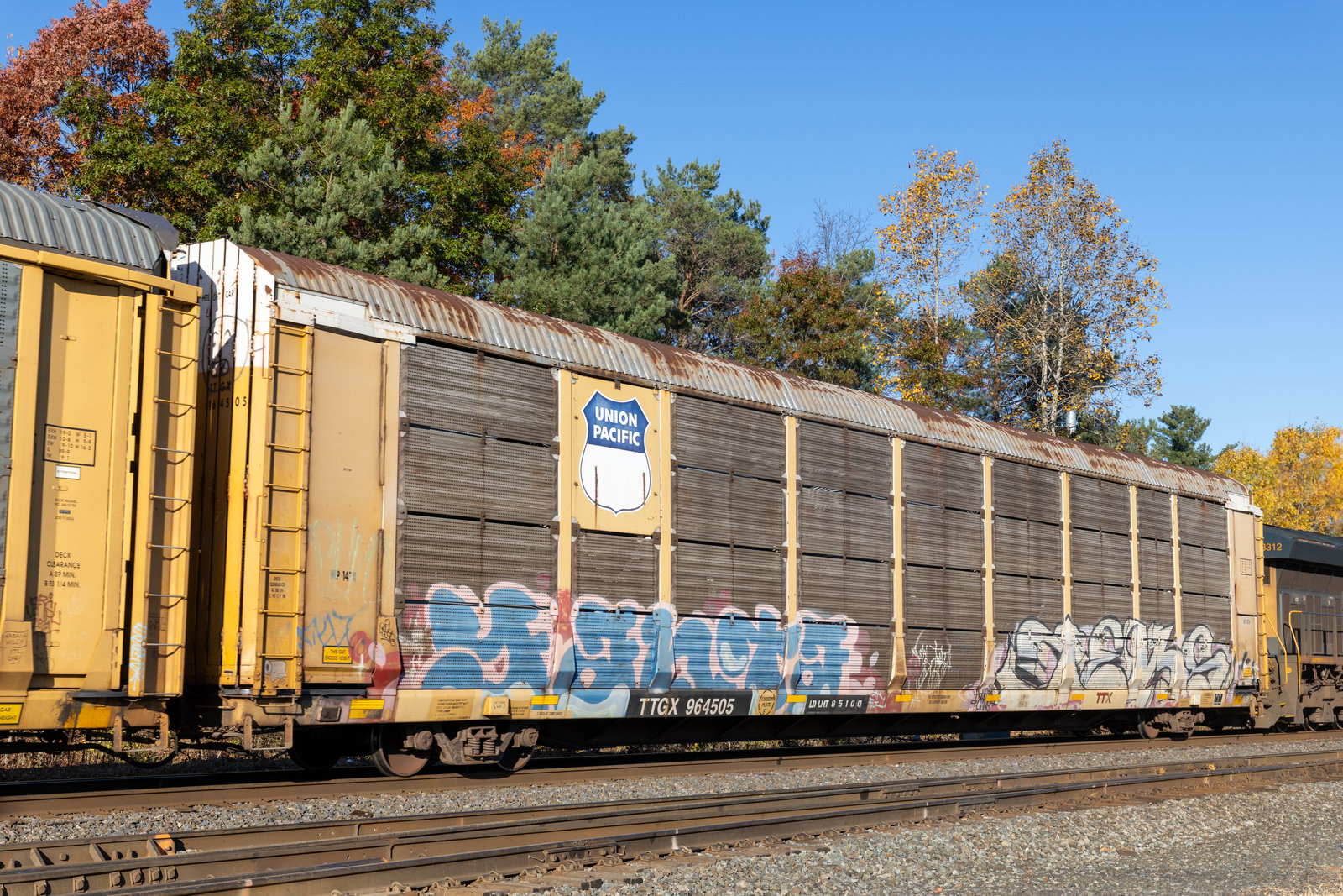 TTGX 964505