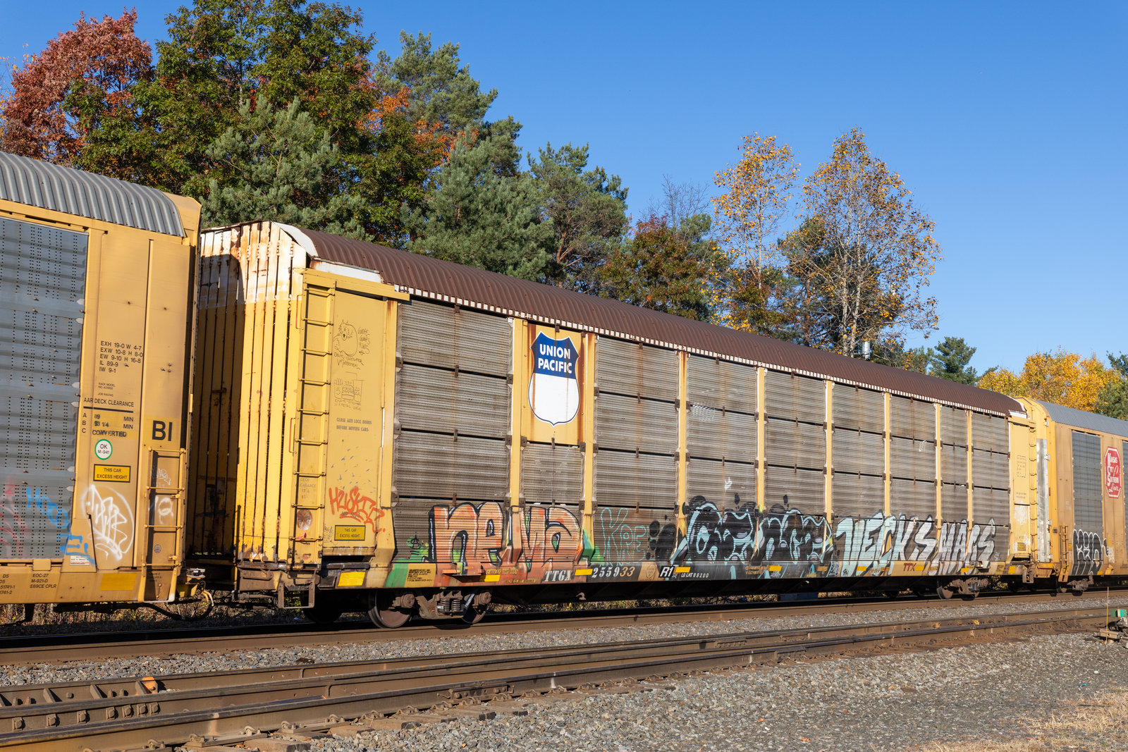 TTGX 255933