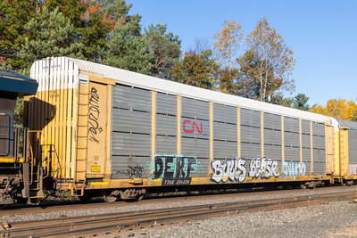 TTGX 254224