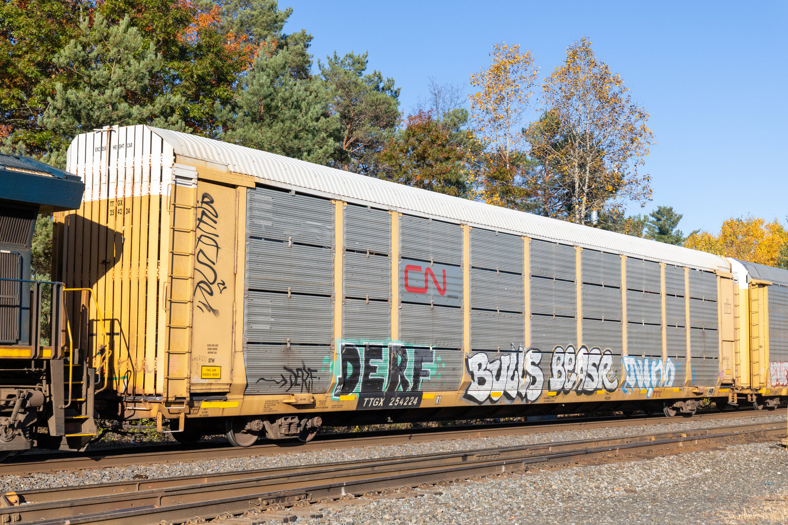 TTGX 254224
