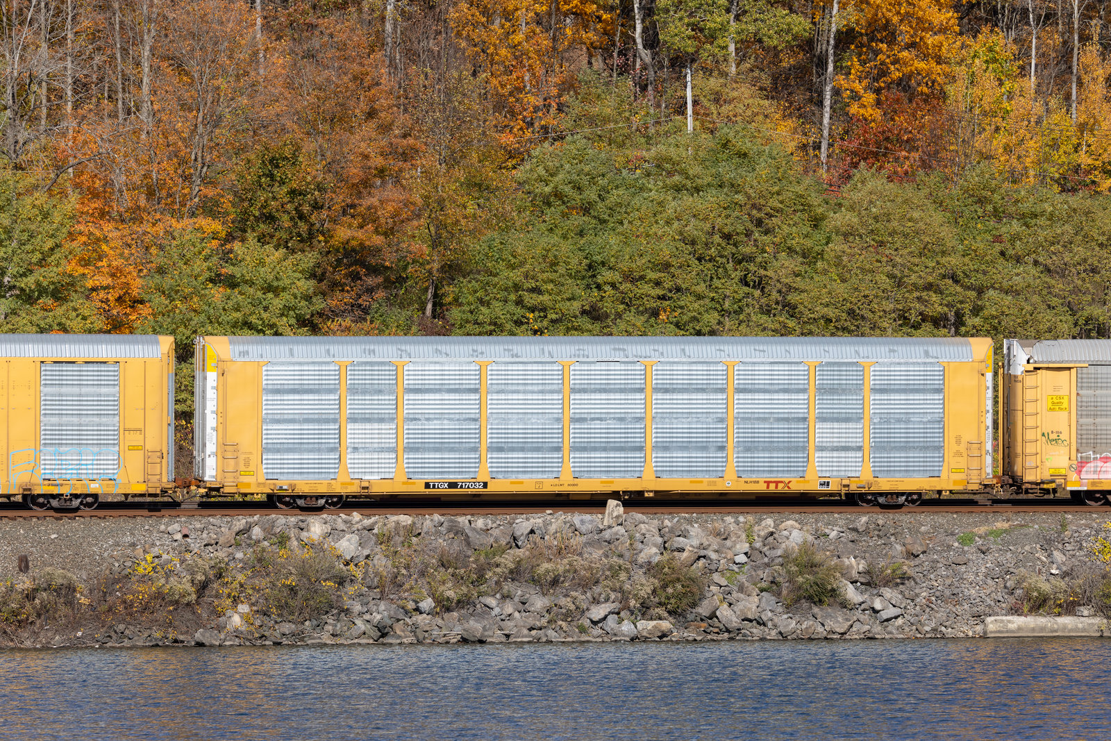 TTGX 717032