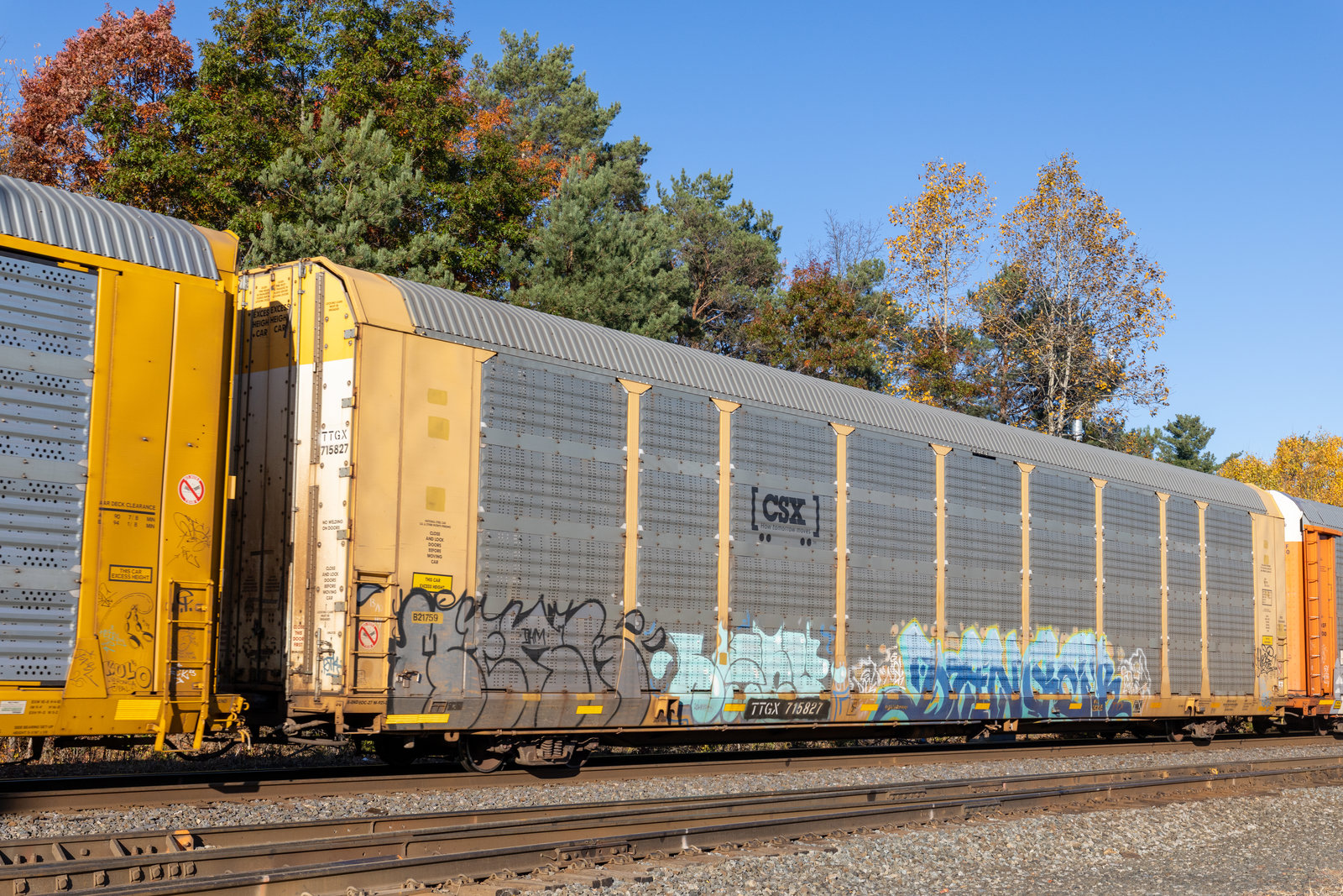 TTGX 715827