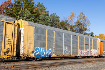 TTGX 967081