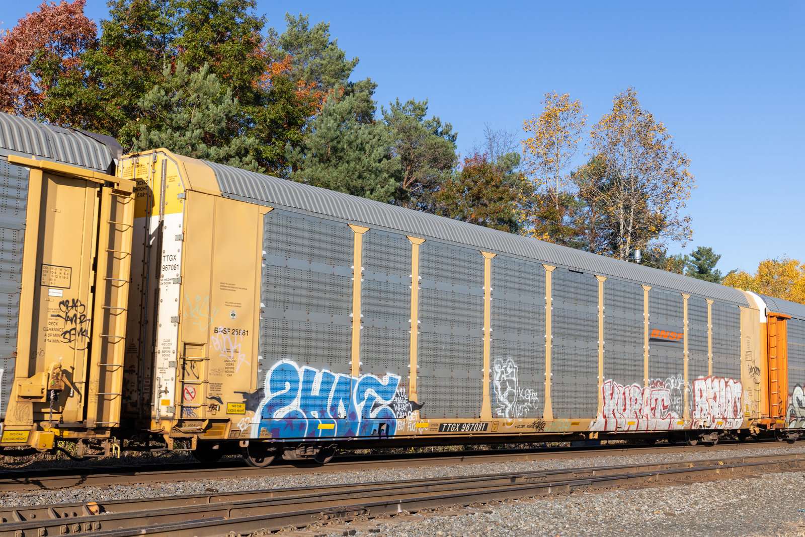 TTGX 967081
