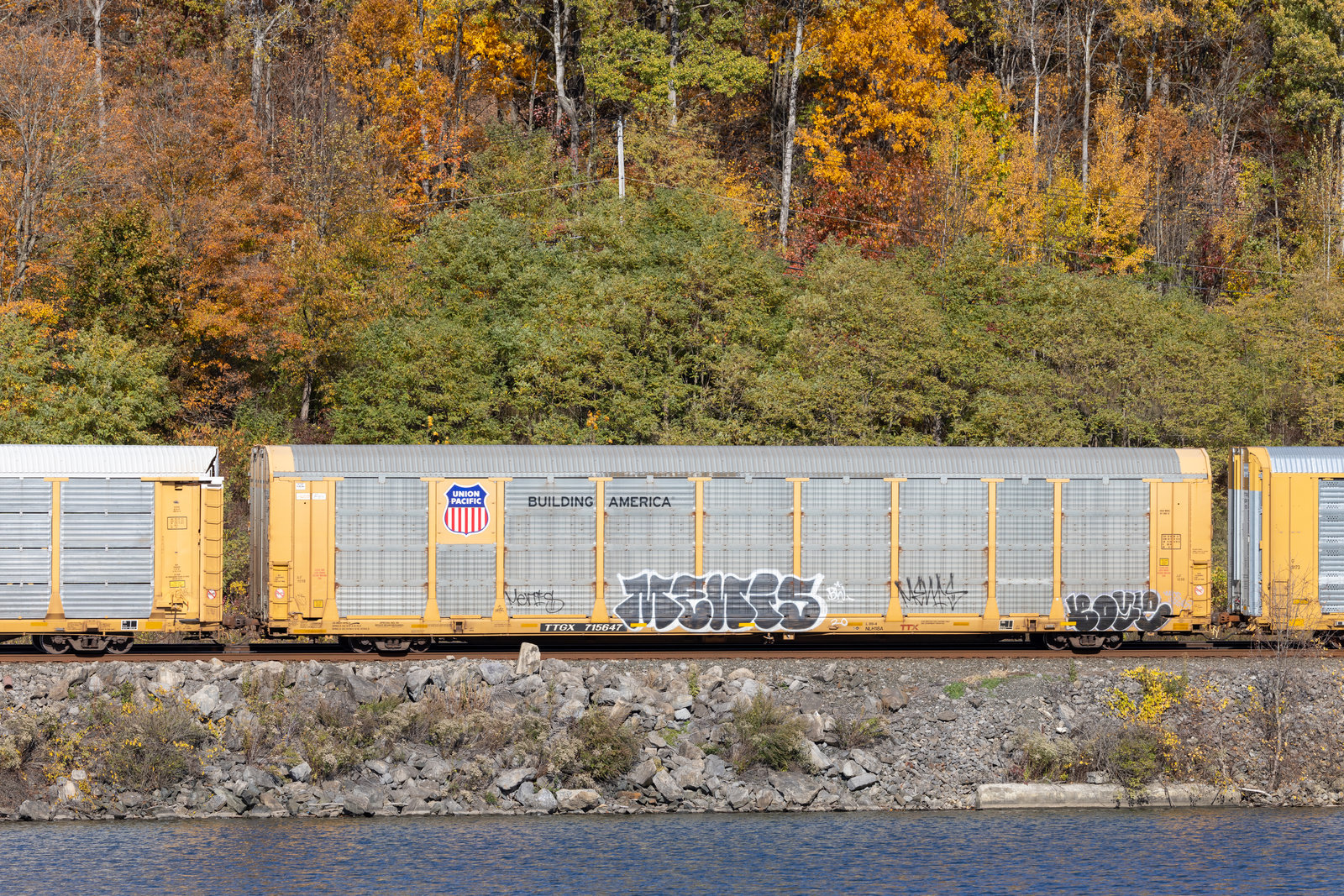 TTGX 715647