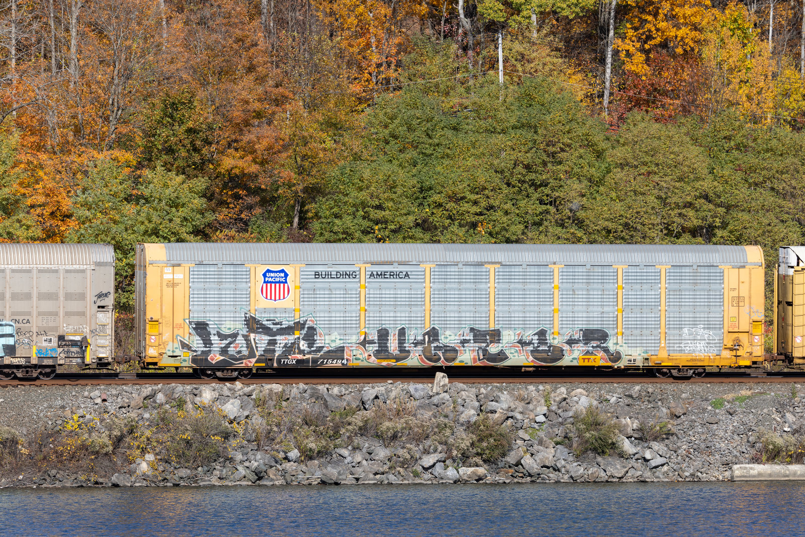 TTGX 715494