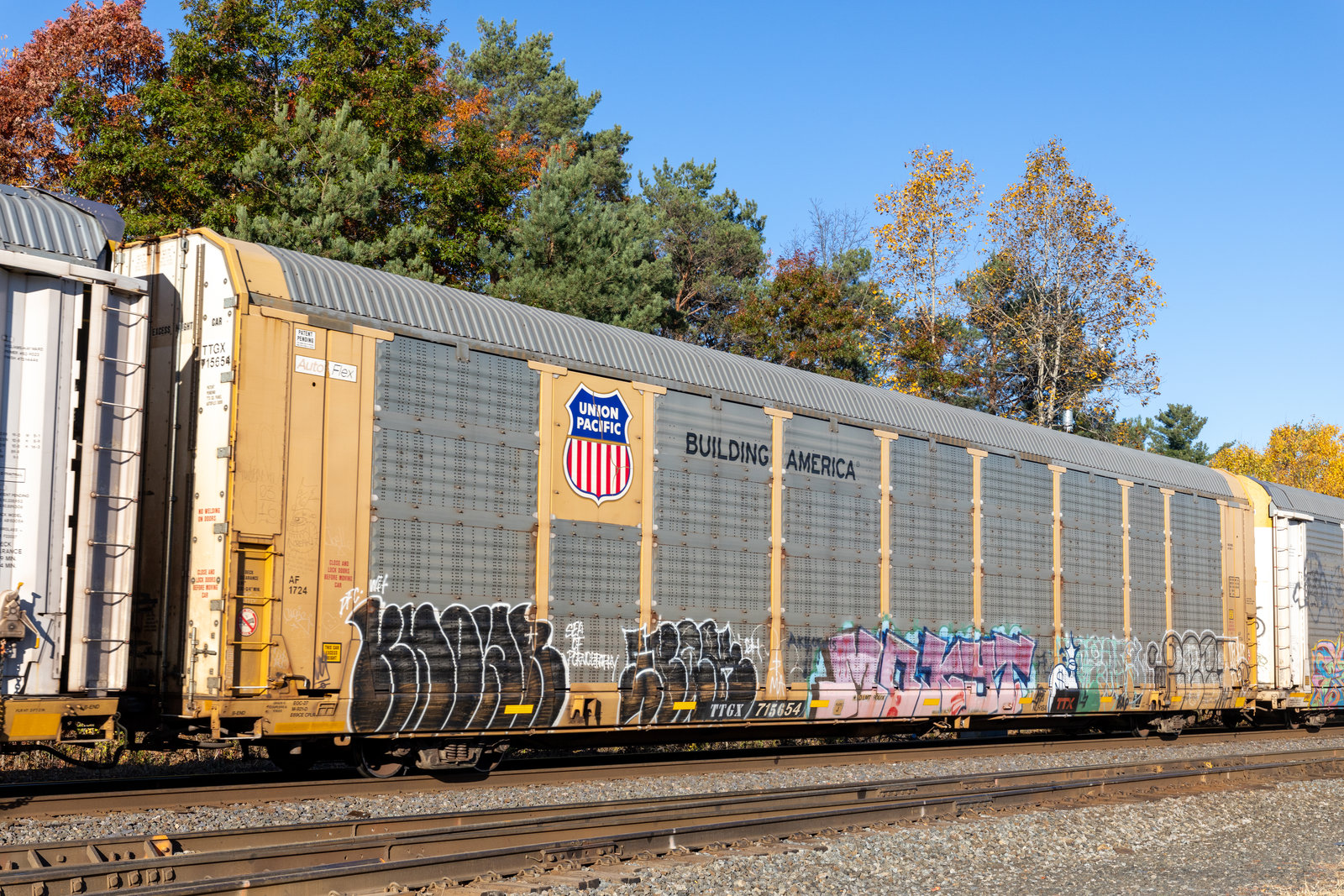 TTGX 715654