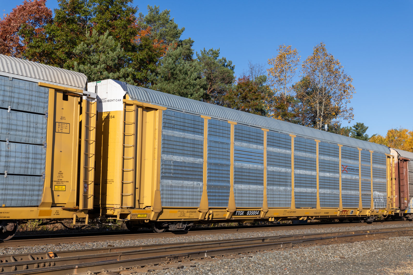 TTGX 835854