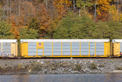 TTGX 850859