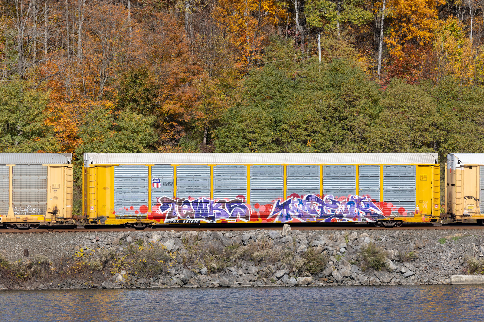 TTGX 851046