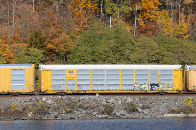 TTGX 700543