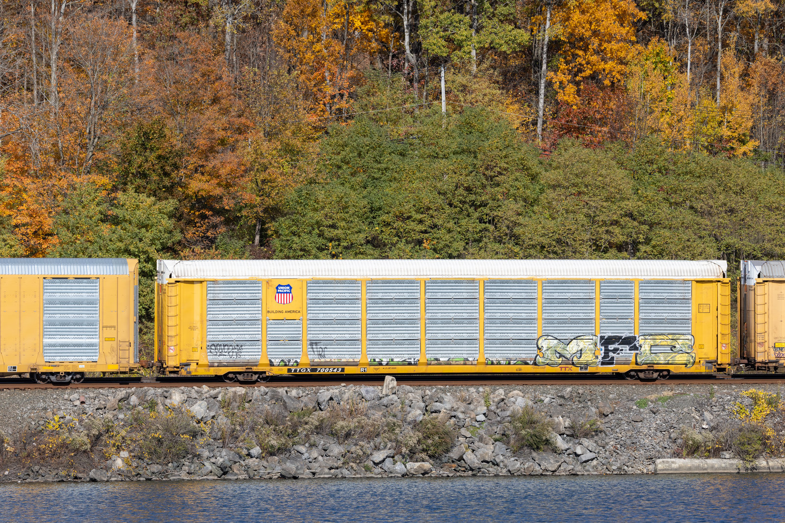 TTGX 700543