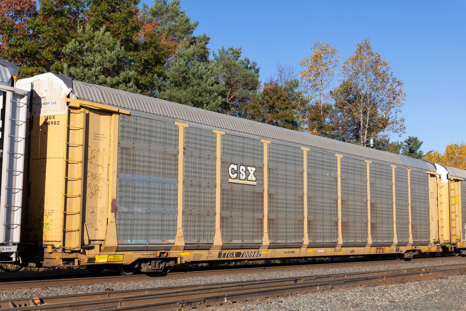 TTGX 700982