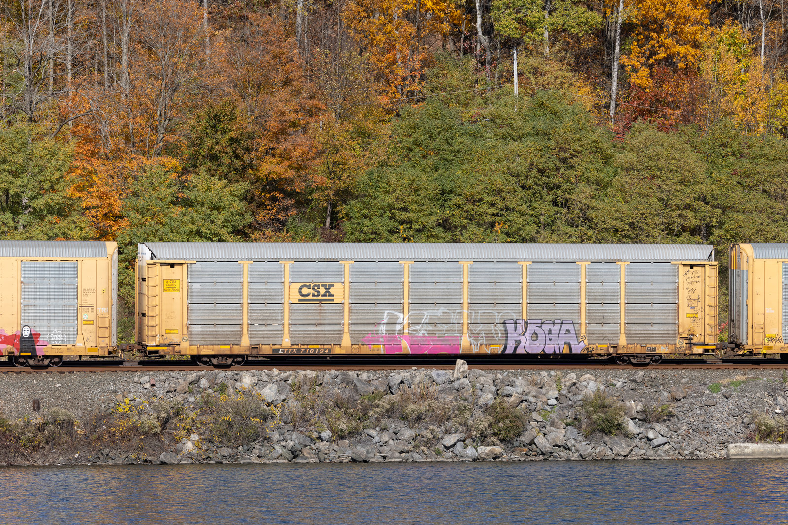 ETTX 710194