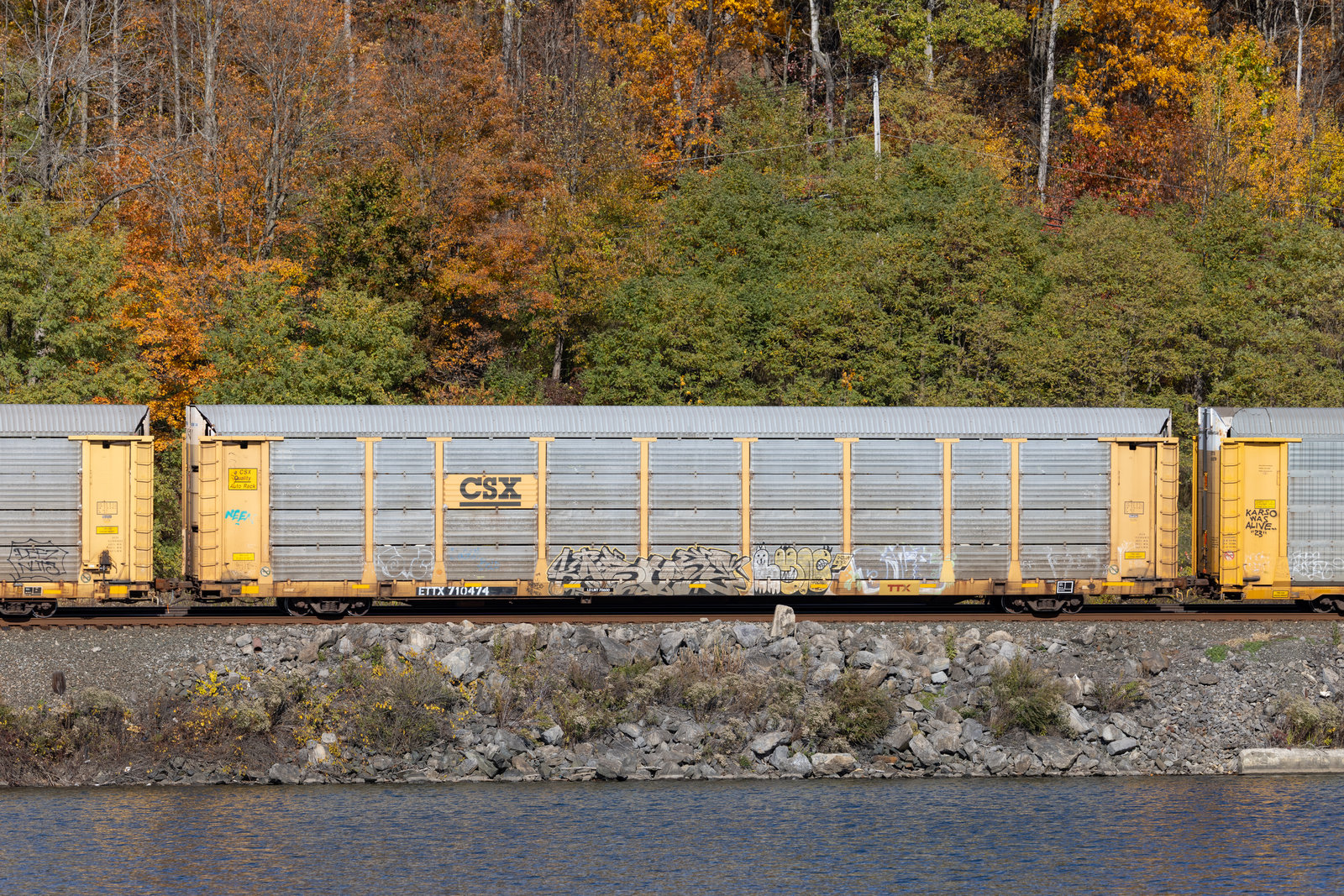 ETTX 710474