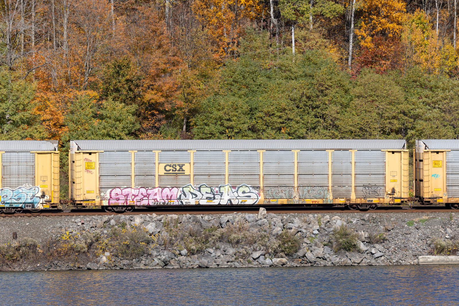 ETTX 710565