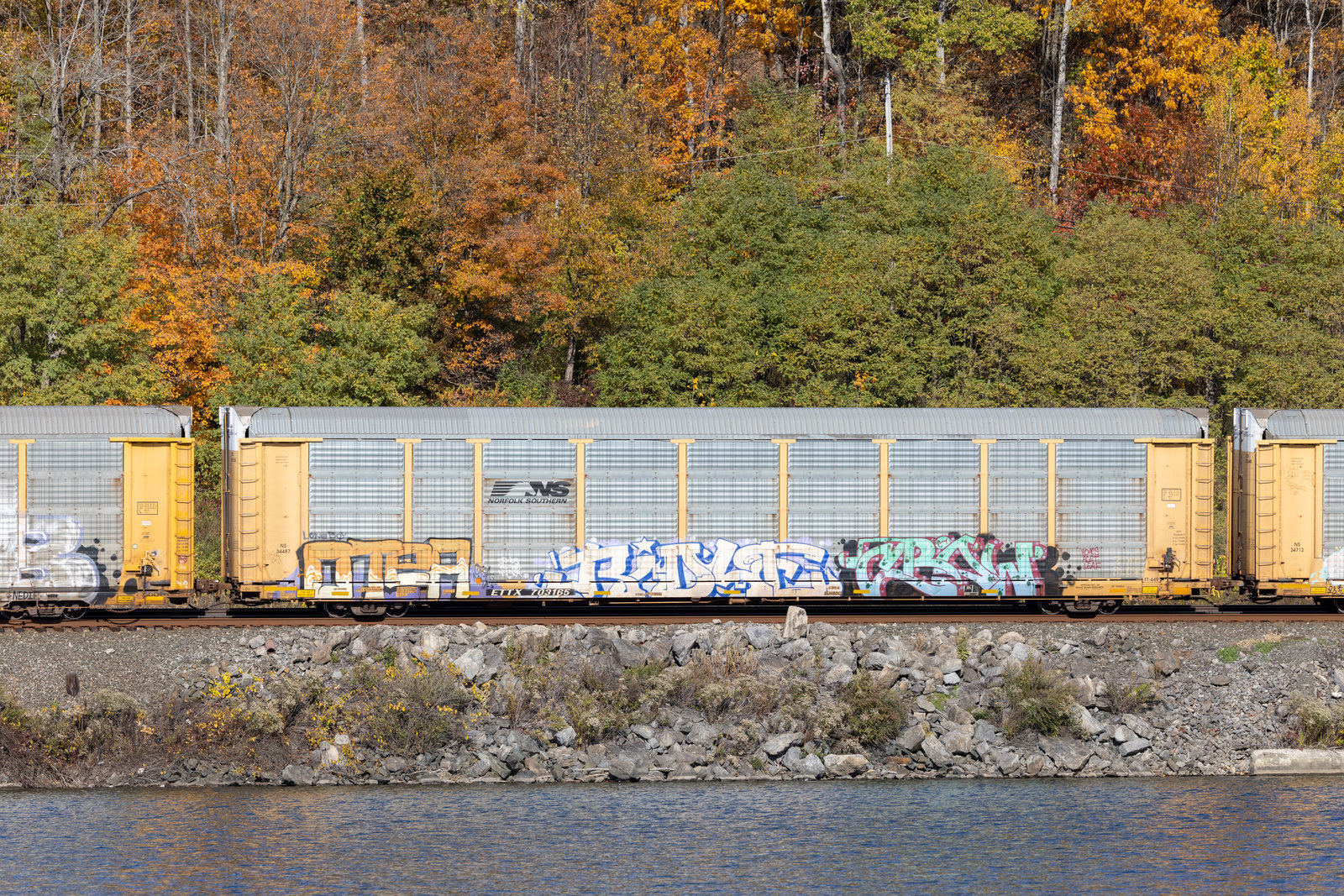 ETTX 703165