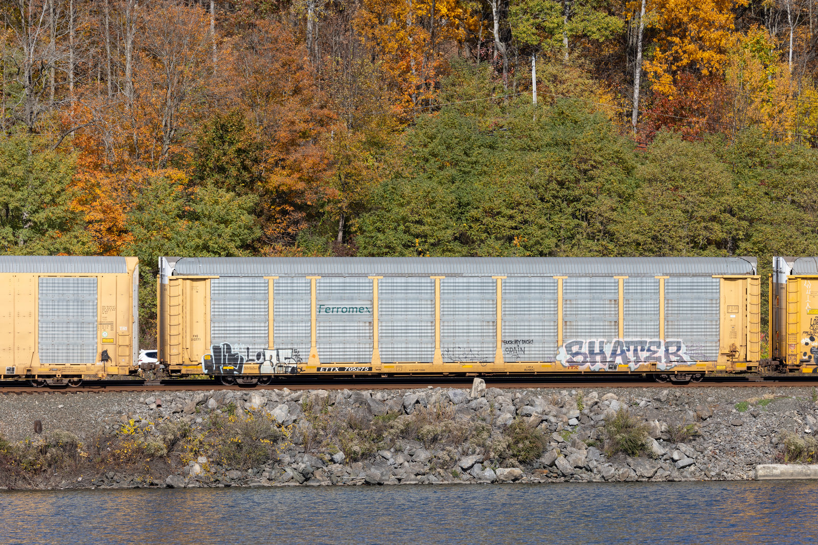 ETTX 705275