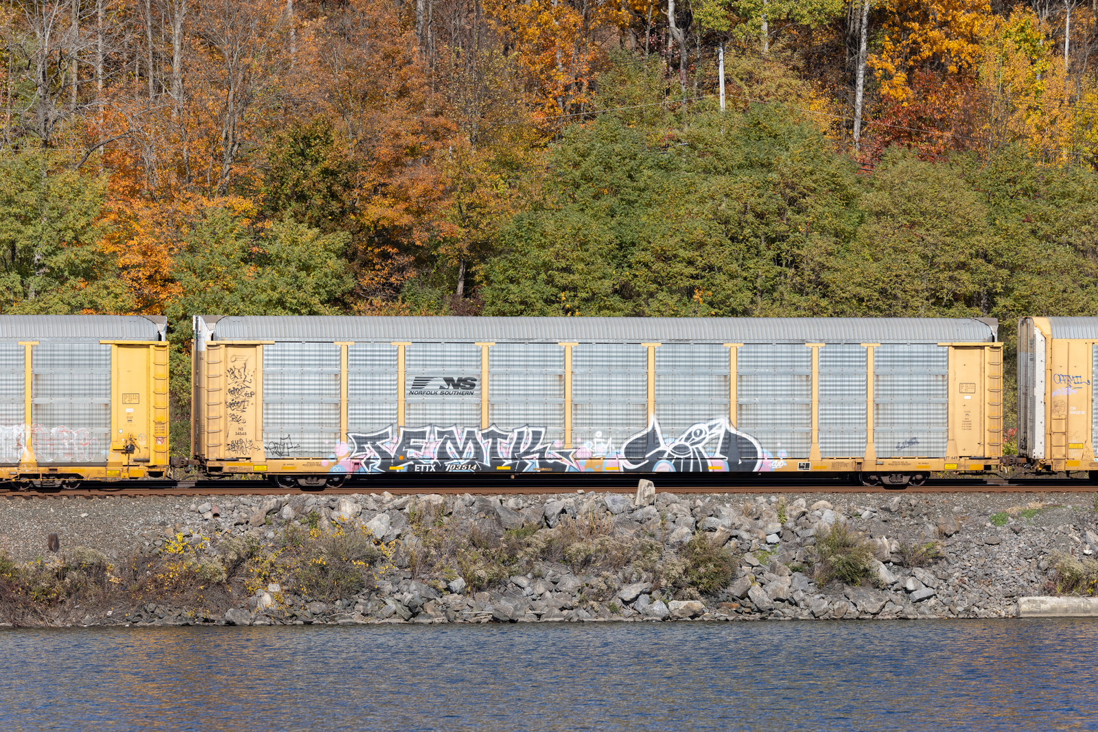 ETTX 703514