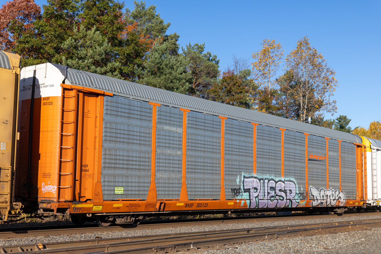 BNSF 303123