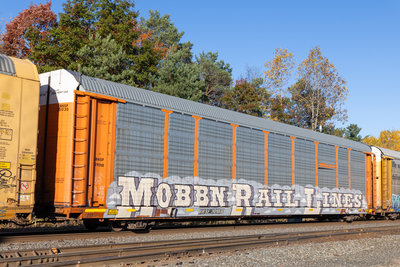 BNSF 301030