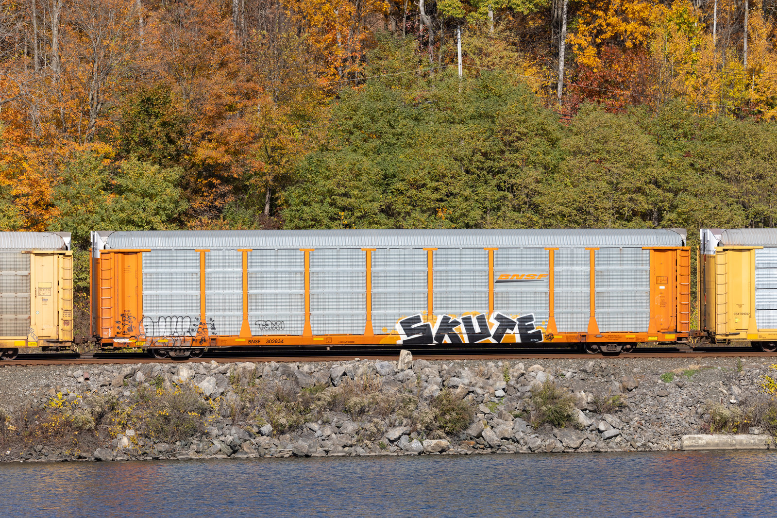 BNSF 302834