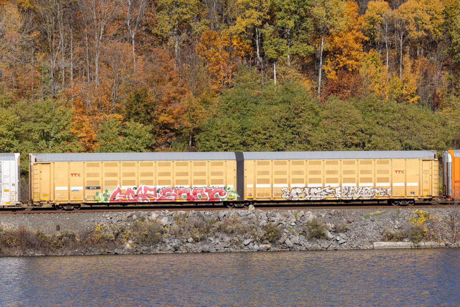BTTX 880288