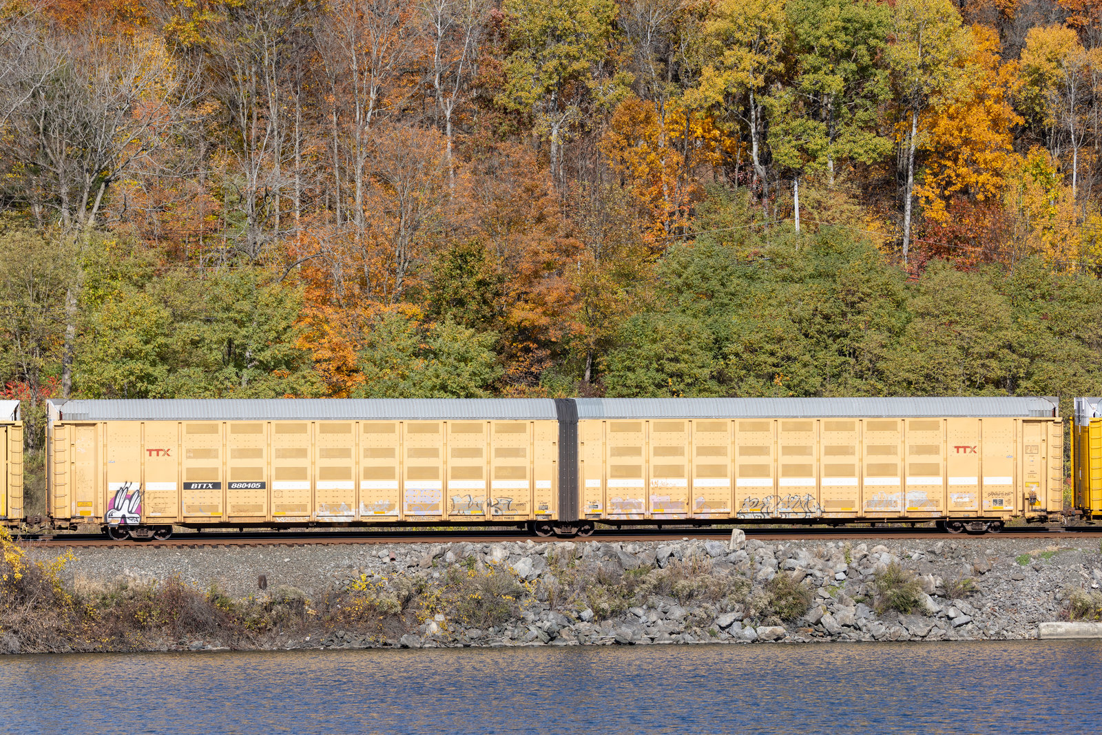 BTTX 880405