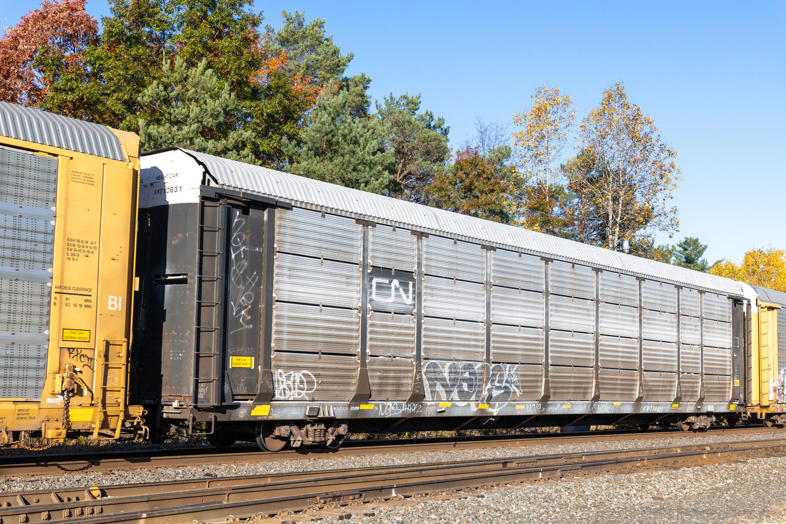CN 710831