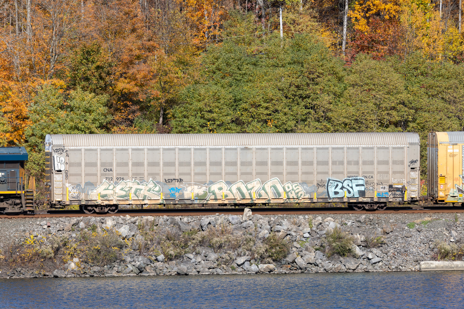 CNA 712926