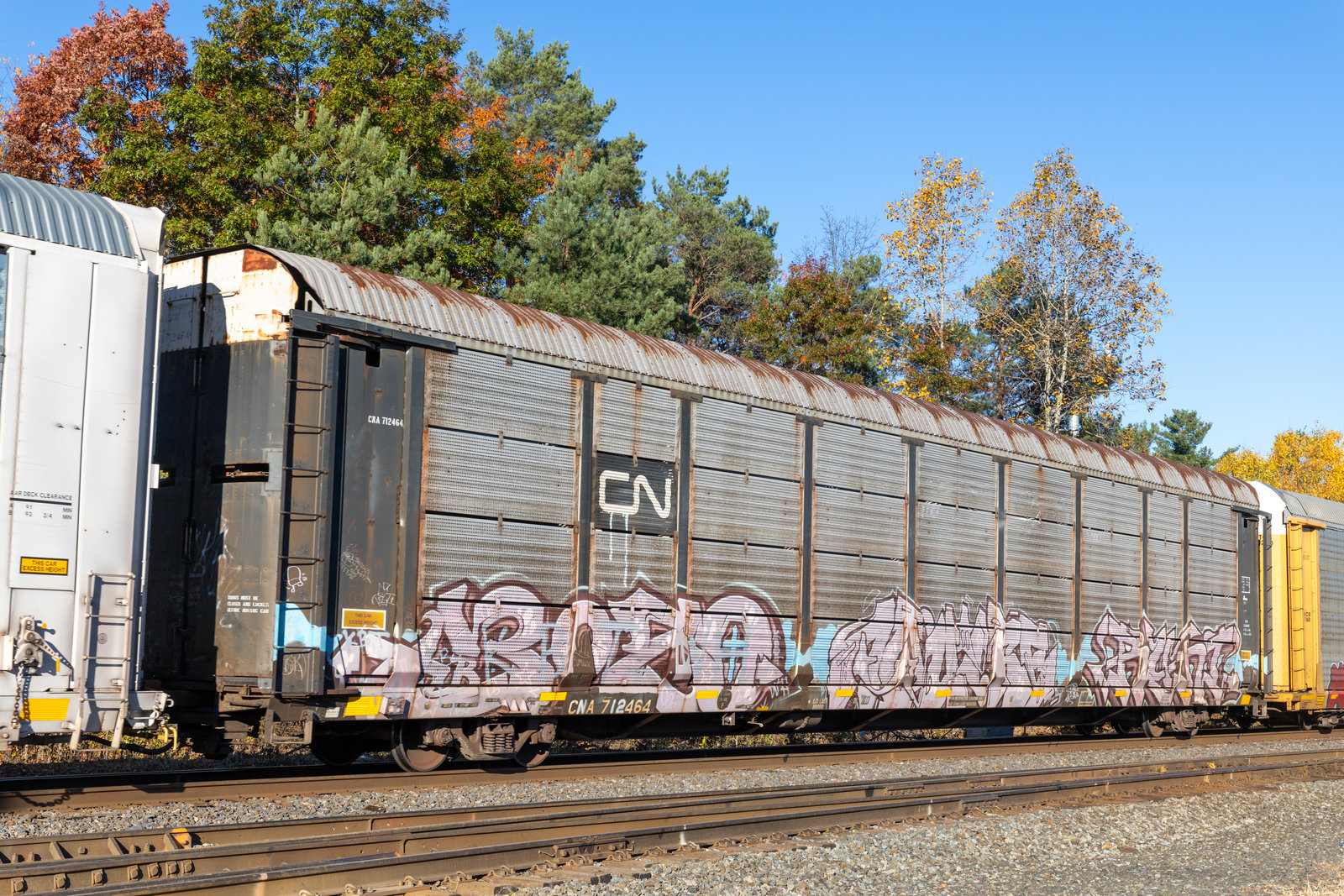 CNA 712464